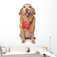 Golden Retriever Wearing a Red Bandana Wall Decal