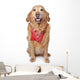 Golden Retriever Wearing a Red Bandana Wall Decal