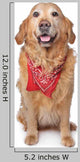 Golden Retriever Wearing a Red Bandana Wall Decal