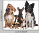 Group Five Dogs Wall Decal