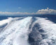 From Ship Wall Decal