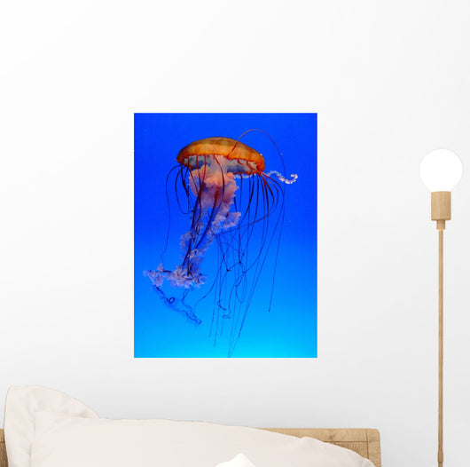 Mduse Wall Decal