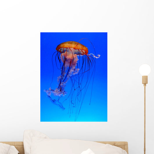 Mduse Wall Decal