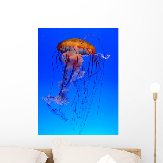 Mduse Wall Decal