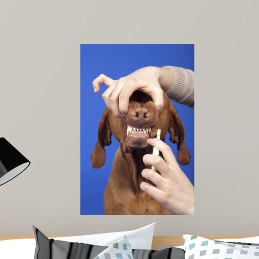 Brushing Dog Teeth Wall Decal
