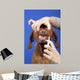 Brushing Dog Teeth Wall Decal