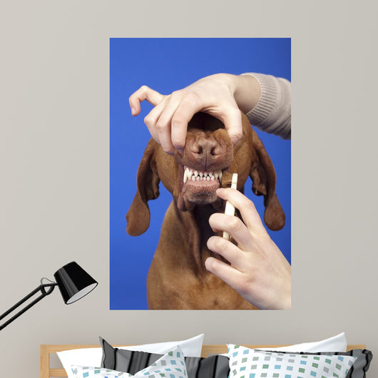 Brushing Dog Teeth Wall Decal