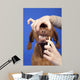 Brushing Dog Teeth Wall Decal