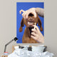 Brushing Dog Teeth Wall Decal