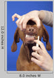 Brushing Dog Teeth Wall Decal