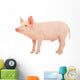 Pig White Wall Decal