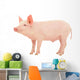 Pig White Wall Decal