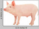 Pig White Wall Decal