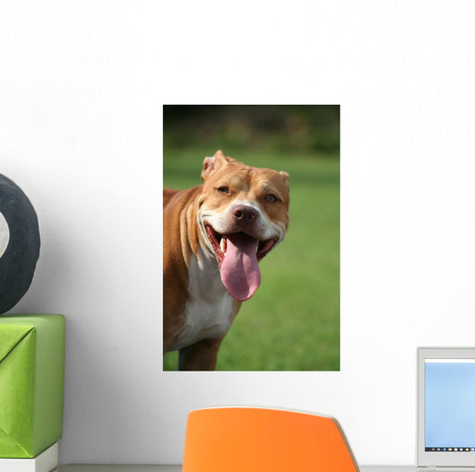 Pitbull Simpatico Wall Decal