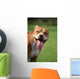 Pitbull Simpatico Wall Decal
