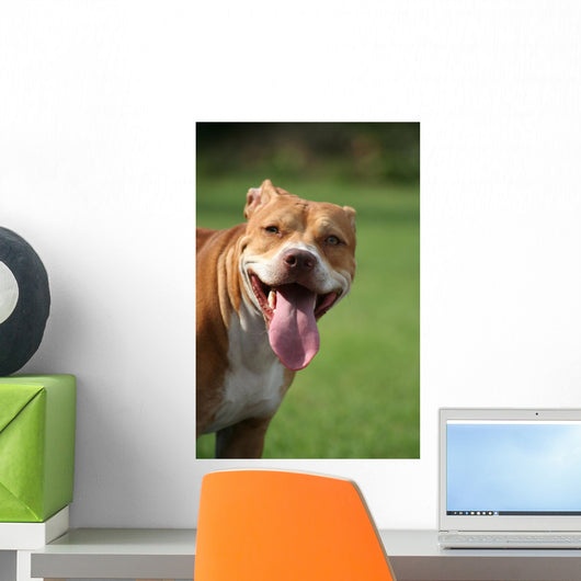 Pitbull Simpatico Wall Decal