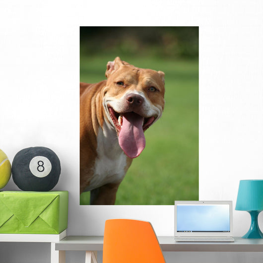 Pitbull Simpatico Wall Decal