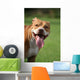 Pitbull Simpatico Wall Decal