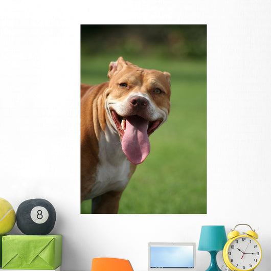 Pitbull Simpatico Wall Decal