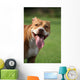 Pitbull Simpatico Wall Decal
