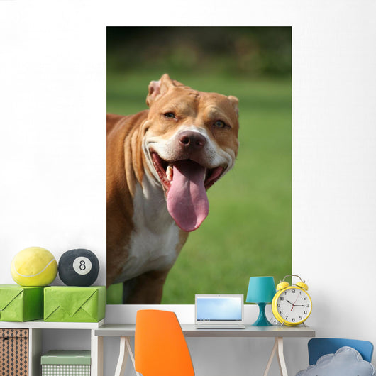 Pitbull Simpatico Wall Decal