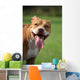 Pitbull Simpatico Wall Decal
