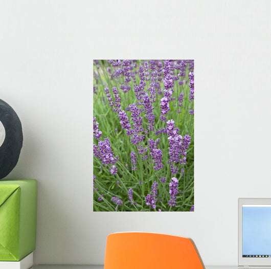 Lavender Stems Wall Decal