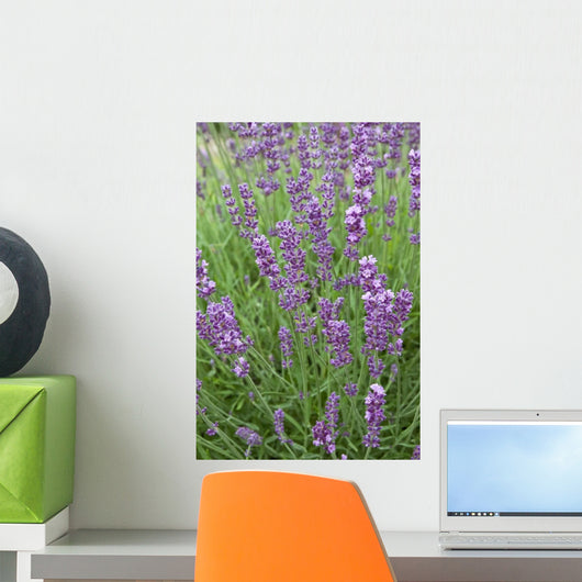Lavender Stems Wall Decal