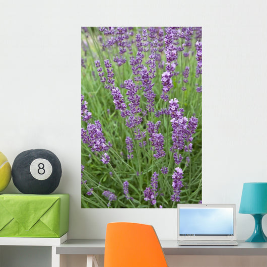Lavender Stems Wall Decal