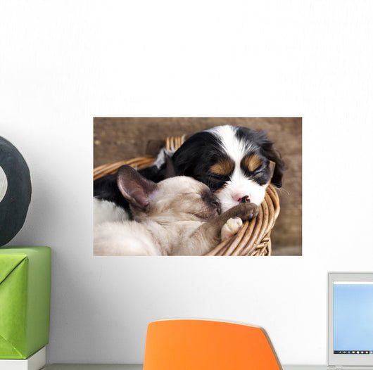 Spaniel Puppy And Kitten Wall Decal