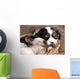 Spaniel Puppy And Kitten Wall Decal