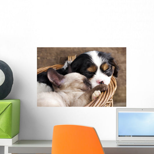 Spaniel Puppy And Kitten Wall Decal