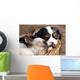 Spaniel Puppy And Kitten Wall Decal