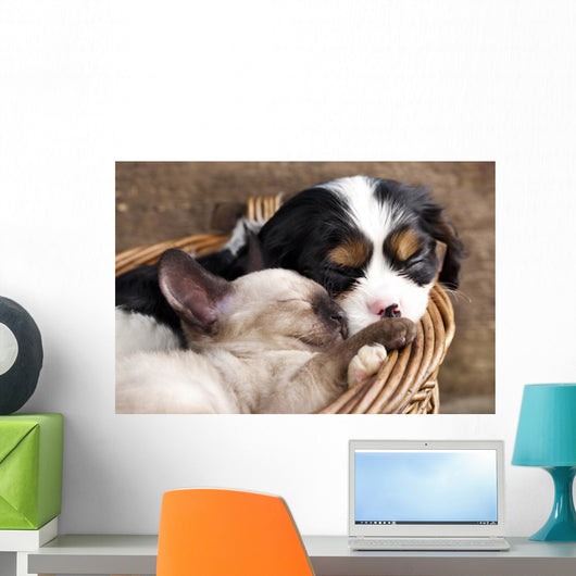Spaniel Puppy And Kitten Wall Decal