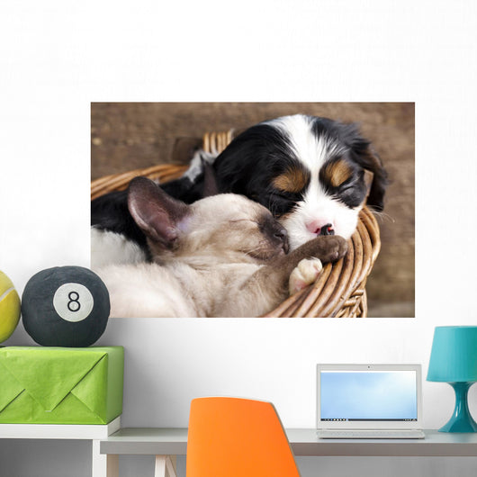 Spaniel Puppy And Kitten Wall Decal