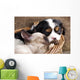 Spaniel Puppy And Kitten Wall Decal