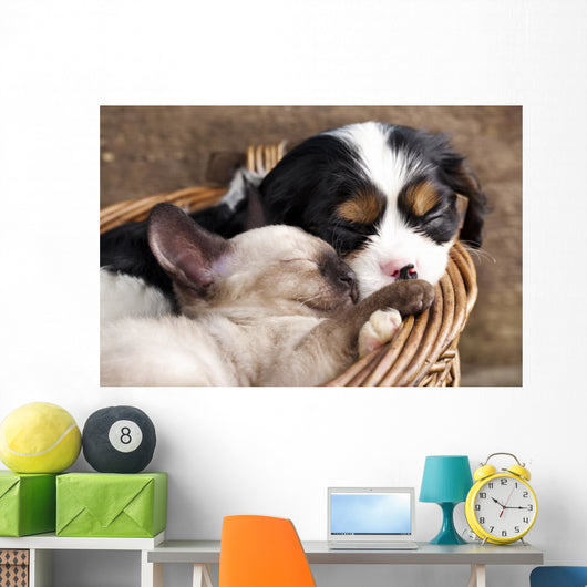 Spaniel Puppy And Kitten Wall Decal