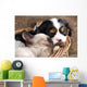 Spaniel Puppy And Kitten Wall Decal