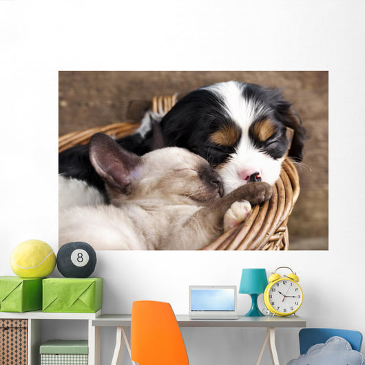 Spaniel Puppy And Kitten Wall Decal