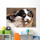 Spaniel Puppy And Kitten Wall Decal