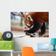 Red Panda Wall Decal