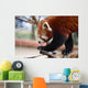 Red Panda Wall Decal