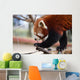Red Panda Wall Decal