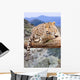 Leopard Wildness Area Wall Decal