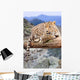 Leopard Wildness Area Wall Decal