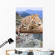 Leopard Wildness Area Wall Decal