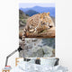 Leopard Wildness Area Wall Decal