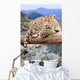 Leopard Wildness Area Wall Decal