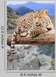 Leopard Wildness Area Wall Decal