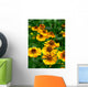 Helenium-Hybride Wall Decal